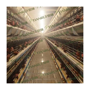 Jaula para <span class=keywords><strong>pollos</strong></span> <span class=keywords><strong>de</strong></span> exportación, gallinero para 5000 gallinas en <span class=keywords><strong>venta</strong></span> - Product Image 2