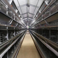 Machine de fabrication d'aliments pour volailles, cages pour poules pondeuses, poulailler pour 10 000 poulets