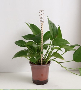 Electro Culture Gardening Copper Wire, <strong>Wooden</strong> Electroculture Plant <strong>Stakes</strong> for Outdoor Plants Garden <strong>Stakes</strong> - Product Image 5