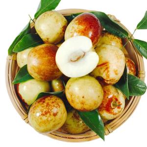 2023<span class=keywords><strong>พุทรา</strong></span><span class=keywords><strong>จีน</strong></span>กรอบหวานฉ่ำผลไม้สำหรับฤดูหนาว - Product Image 3