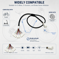 Harnais de câblage et assemblage de câbles de frein électronique pour vélos électriques/motocyclettes BeiXing OEM/ODM personnalisés avec isolation en PVC IP66 36V-220V