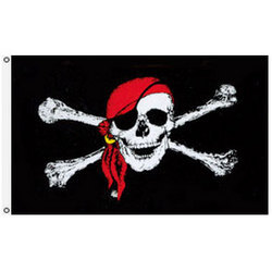 Drapeaux et Bannières Personnalisés Imprimés Numérique en Polyester 150D, 3x5 pieds, Couleurs Vives, Vente en Gros Directe Usine Chine, Drapeaux de Pirates Pas Chers - Product Image 6