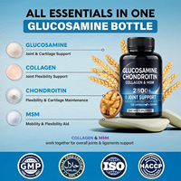 Capsules de Glucosamine, Chondroïtine, Collagène et MSM pour la Flexibilité Articulaire, 120 Comprimés, Force Maximale, Marque Blanche, Vente en Gros