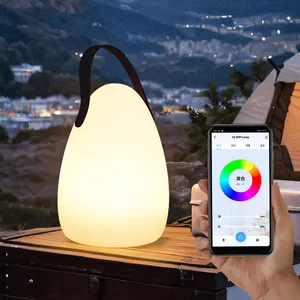 Usb Rechargeable Battery Operated Smart App Voice Control Rgbw Led Light Waterproof Pe Plastic Egg Carrie Table Lamp