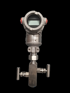 Capteur Rosemount 3051TG d'origine, boîtier en acier inoxydable, 4-20 mA HART, connexion filetée pour l'huile et le gaz - Product Image 2