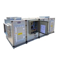Unité de Traitement d'Air (UTA) de Haute Performance pour Salle Blanche Hospitalière avec Filtre HEPA/ULPA pour Climatisation