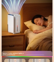 Dehumidifier Anti Jamur Baru yang Efisien, Dehumidifier Kamar Tidur Rumah Tangga yang Senyap dan Kecil, Dehumidifier Mini Anti Lembab