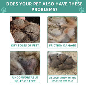 Baume pour pattes d'animaux de compagnie biologique naturel lissant 50 ml en marque privée OEM pour chiens Protection Soulagement des pattes sèches rugueuses et brutes - Product Image 4