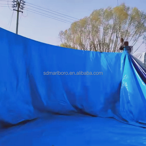 Réservoir d'eau cylindrique en PVC SDMARBORO avec générateur d'oxygène pour l'élevage de poissons à usage commercial, grande capacité 3m-30m - Product Image 3