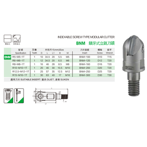 Fresa Modulare a Vite Indexabile <span class=keywords><strong>BNM</strong></span> in Carburo Rivestito in AlTiN per Centro di Lavorazione CNC, Fresatura a Scorrimento, Resistenza all'Usura HRC65 - Product Image 3