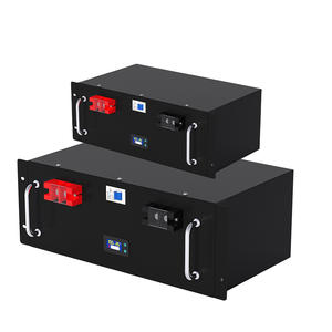 Batería de Litio Hierro de Larga Duración (3000 Ciclos) para Sistema Solar 12.8V 100Ah 25.6V 100Ah LiFePO4 - Product Image 2