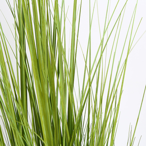 Proveedor de <span class=keywords><strong>Amazon</strong></span> con decorativa plantador acuáticos hierba Mini planta de plástico Artificial con raíces hierba Bonsai - Product Image 3