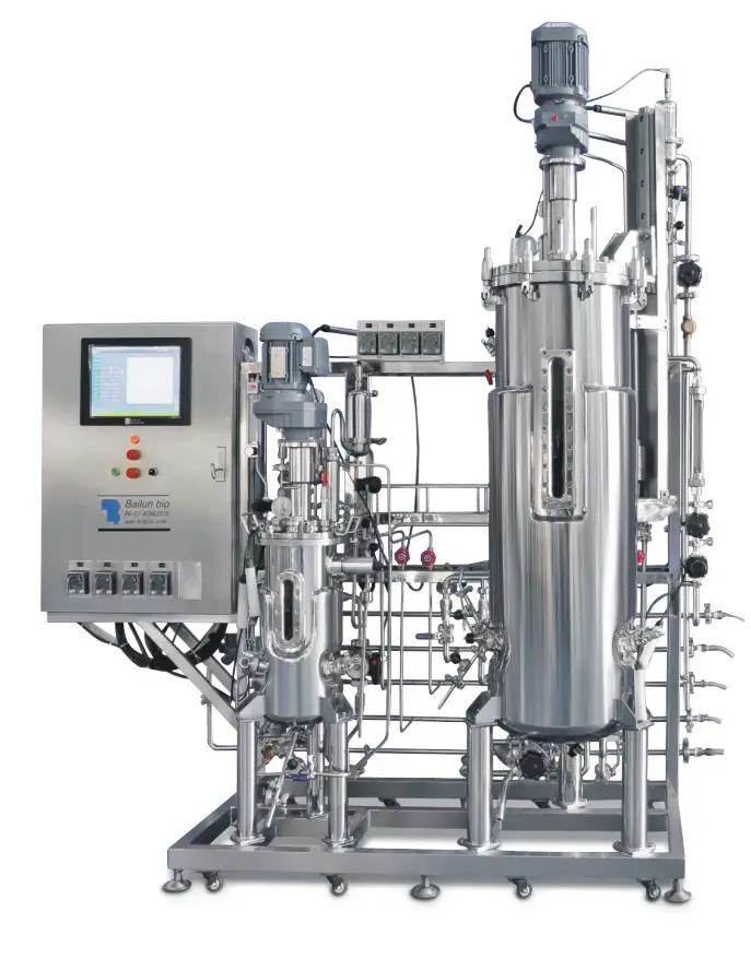 production of citric acid by aspergillus niger using cane molasses in a stirred fermenter design bioreactors BLBIO-SJA