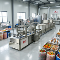 Nouvelle ligne de production de bonbons gélifiés vegan à base de pectine végétale, écologique et haute performance