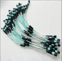 Kabel Patch Fiber MPO/MTP 12/24 Core |   Kabel Trunk OM3/OM4/OS2 Low Loss |   Harness Breakout MPO LC/SC FTTH 4G/WiFi