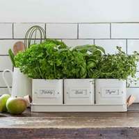 Lot de 3 pots rectangulaires en pierre pour herbes aromatiques avec plateau à poignée en cuir