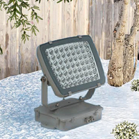 Projecteur LED COB haute puissance en aluminium, étanche IP65, éclairage extérieur paysager, télécommande, CRI élevé 90, garantie 3 ans