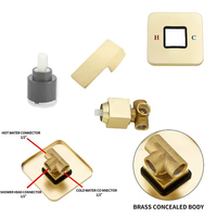 Système de douche Tieba de luxe moderne en acier inoxydable poli finition chrome, jet de pluie, mitigeur monocommande mural