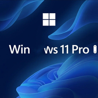 Logiciel d'activation de serveur de réseau professionnel pour Windows 10/11 Pro, licence à vie pour usage domestique et professionnel