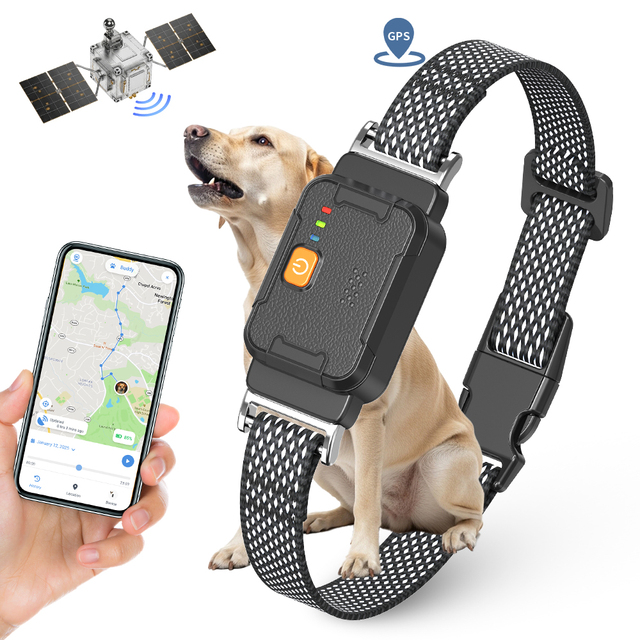 tize 4G Sim Tracking Smart Geo Fencing Pet Collar GPS Tracker for Dog Cat