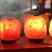 Lampe de sel de l'Himalaya naturelle, diffuseur d'aromathérapie, lumière de nuit apaisante aux huiles essentielles pour chambre à coucher, aide au sommeil, décoration d'ambiance pour la maison