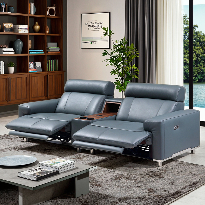 Home Living Room Genuine Leather Electric