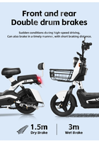 Cross Electric Motorcycle Electric Bicycle Electric Motorcycle Electrical System