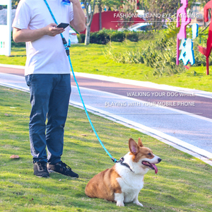 Laisse de course mains libres pour animaux de compagnie, double laisse en nylon pour 2 chiens, chaîne de promenade pour animaux, fournitures pour animaux de compagnie en gros - Product Image 3