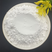 Poudre de silice hydratée de dioxyde de silicium en vrac de haute qualité 99% poudre de fumée de silice de microsilice SiO2 pour le béton