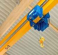 Palans à câble télécommandés de 5 et 10 tonnes, conformes aux normes européennes, haute efficacité pour le chargement et le déchargement de marchandises en vrac en entrepôt