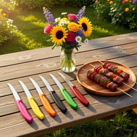 Couteau de cuisine ultra-affûté en acier inoxydable avec manche en plastique, petit couteau à éplucher, à fruits, à steak, pour steak, fruits, pain