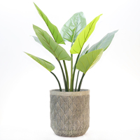 Pots à fleurs en ciment durables et écologiques de style moderne, sculptés à la main, pour jardin, intérieur, extérieur, maison, hôtel, restaurant