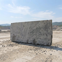 TY Own Quarry LangTaoSha Shandong Granit Gris Bloc Brut Taillé et Poli Écologique Solution Complète Moderne pour Carrelage de Villa et Parc