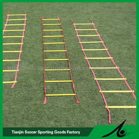 Échelle de vitesse professionnelle rouge en PP pliable pour l'entraînement sportif – Équipement d'entraînement pour les passionnés de football/soccer (vente en gros)