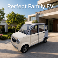 Voiture électrique mini haute performance à 4 roues, véhicule électrique à basse vitesse pour la ville, idéale pour la famille et les trajets urbains