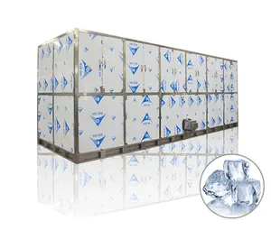 10 Ton Cube Ice Machine Met Automatische Verpakkingsmachine