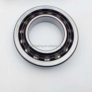 100BAR10.E.TYN.<span class=keywords><strong>DBL</strong></span>.P4A Roulement à billes à contact oblique à double rangée - Product Image 2