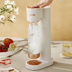 Factory Sell Beverage Home Carbonation Co2 Soda Maker For Sale Sparkling Water Machine