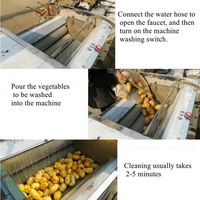 Machine de lavage et de pelage de légumes racineux (yam, etc.) - Prix EXW