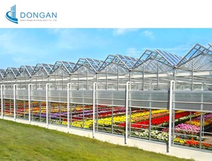 Serres tunnel agricoles professionnelles à faible coût <span class=keywords><strong>pour</strong></span> plantes à fleurs - Product Image 2