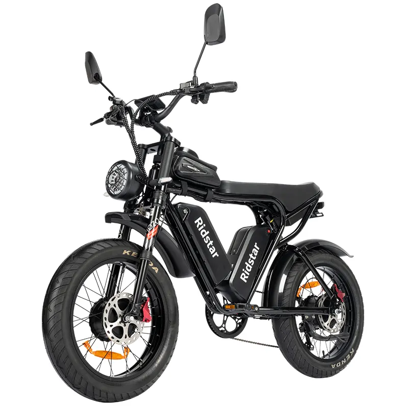 Dual Motor 2000w 56v 40ah max speed 60km/h electric bike 20*4.0 fat tire hydraulic dis brake electric bicycle Eu USA warehouse