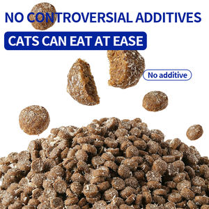 OEM Cheap <span class=keywords><strong>Cat</strong></span> <span class=keywords><strong>Food</strong></span> Factory Exportações 10KG High Protein Pet <span class=keywords><strong>Food</strong></span> Raw Beef Flavors Fish Shapes Toda a Idade <span class=keywords><strong>Cat</strong></span> Dry <span class=keywords><strong>Food</strong></span> Grain Free Bag - Product Image 3