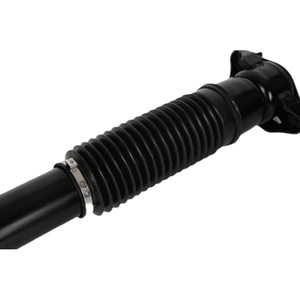Amortisseur pneumatique sans ADS Amortisseur de suspension pneumatique arrière pour Benz <span class=keywords><strong>W164</strong></span> X164 <span class=keywords><strong>ML</strong></span> GL Class 1643202431 Accessoires de voiture - Product Image 3