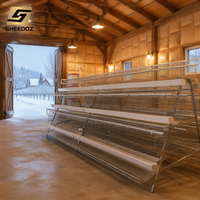 Cages à poulets d'élevage galvanisées pour fermes avicoles, modèle RTL de type A pour l'élevage en batterie