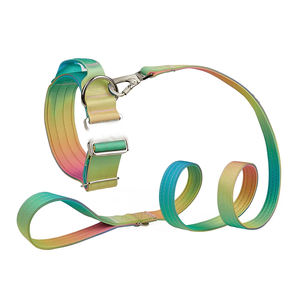 Auf Lager: Großes Taktisches Hundehalsband mit Farbverlauf, 2 Zoll breites, zugentlastendes und hochbelastbares Hundetrainingshalsband - Product Image 4