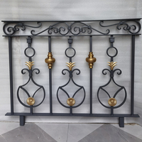 Clôture en fer forgé conceptions