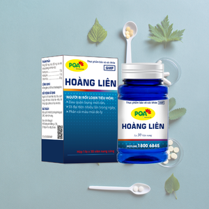 Angelica Sinensis Liquorice Gastrointestinal Health <b>Herbal</b> <b>Supplements</b> for Adults Hard Gelatin Capsules Support - Product Image 6