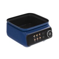 Pot détachable 2 couches vapeur électrique à chauffage rapide multiple