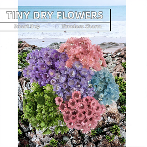 Fleurs séchées miniatures naturelles brésiliennes en gros du Yunnan, idéales pour la Saint-Valentin, la Fête des Mères et Pâques - Product Image 2