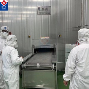 Vierkante Hoge Kwaliteit Snel Invriesproces Bevroren Visvlees Plantaardige Industriële Spiraal Snelvriezer